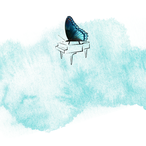 Studio Memberships & Lessons