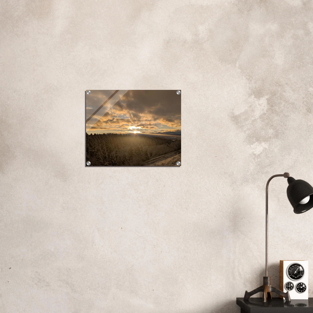 0c905afd-61a2-475f-9e5c-d7f4d0ee9a87