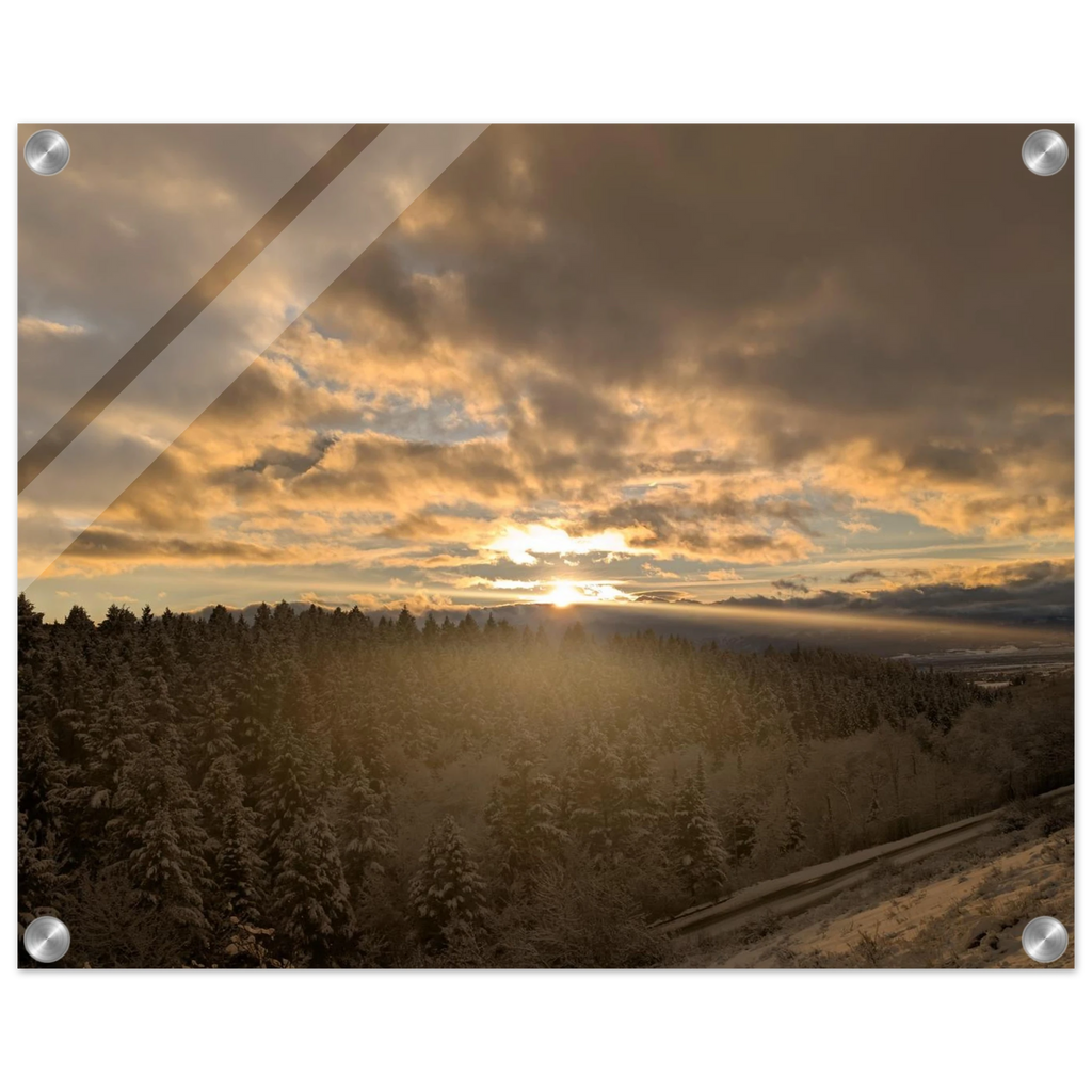 7873dbc8-13f6-4d14-9209-29e074e5210b